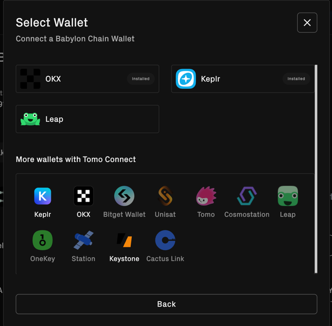 BABY Staking via Web Step 2.4