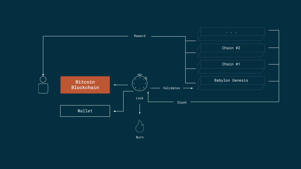 Multi-staking Contract